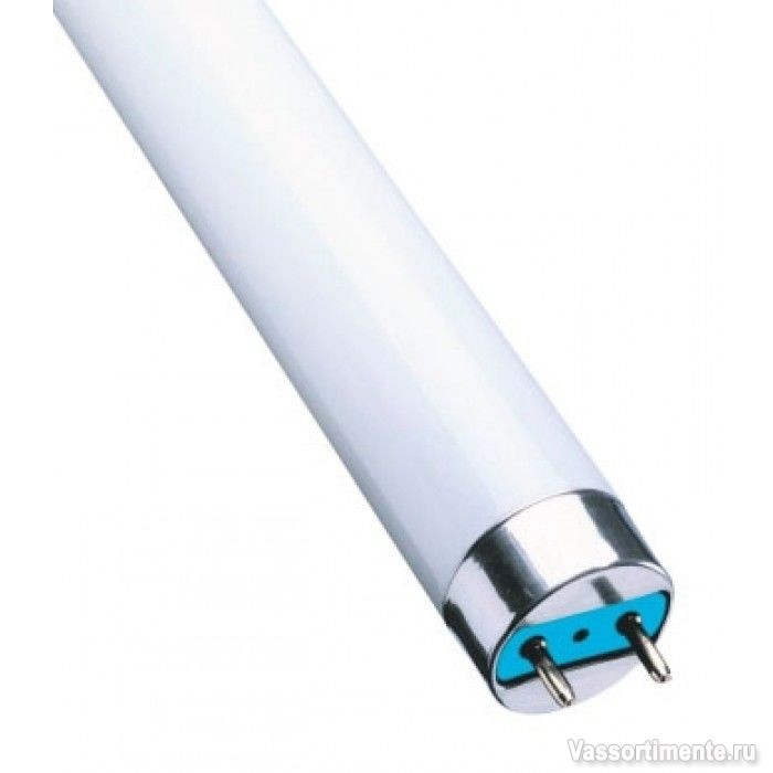 Лампа люминесцентная ЛД 36 (36W/6500) G13 Т8 IEK 36 Вт